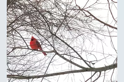 18 Adams Road, Ossining, NY 10562 - Photo 36