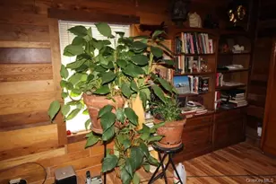 13 Creamery, Livingston Manor, NY 12758 - Photo 10