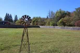 13 Creamery, Livingston Manor, NY 12758 - Photo 4