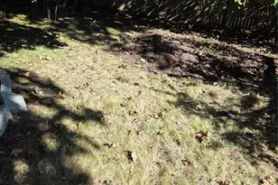 173 Underhill St, Yonkers, NY 10710 - Photo 6