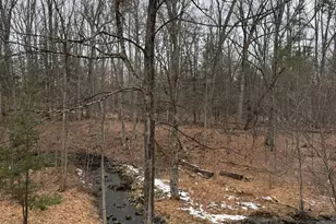 332 Mohonk Rd, High Falls, NY 12440 - Photo 4