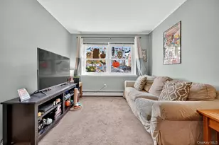 283 Calhoun Ave, Bronx, NY 10465 - Photo 36