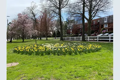 55 N Broadway #3-1, White Plains, NY 10601 - Photo 10