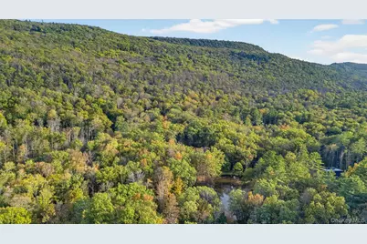 55 Ginger Road, High Falls, NY 12440 - Photo 4