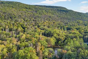 55 Ginger Rd, High Falls, NY 12440 - Photo 4