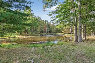 55 Ginger Rd, High Falls, NY 12440 - Photo 30