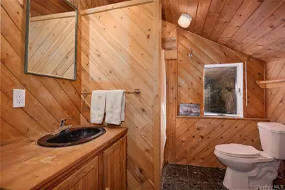 356 Rossway Road, Pleasant Valley, NY 12569 - Photo 28