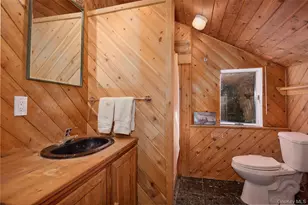 356 Rossway Rd, Pleasant Valley, NY 12569 - Photo 28