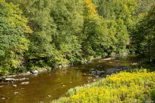 1009 Beaverkill Rd, Livingston Manor, NY 12758 - Photo 14