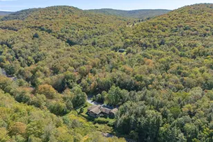 1009 Beaverkill Rd, Livingston Manor, NY 12758 - Photo 4