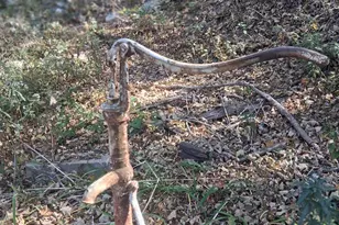 84 N Rd, Red Hook, NY 12571 - Photo 18