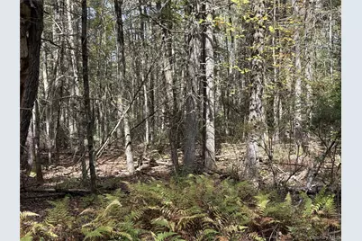 17 Lot 17 Desmond Crossing, Bethel, NY 12720 - Photo 4