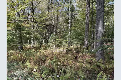 17 Lot 17 Desmond Crossing, Bethel, NY 12720 - Photo 8