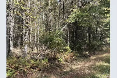 17 Lot 17 Desmond Crossing, Bethel, NY 12720 - Photo 2