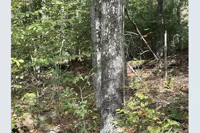 17 Lot 17 Desmond Crossing, Bethel, NY 12720 - Photo 10