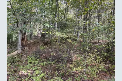 17 Lot 17 Desmond Crossing, Bethel, NY 12720 - Photo 6