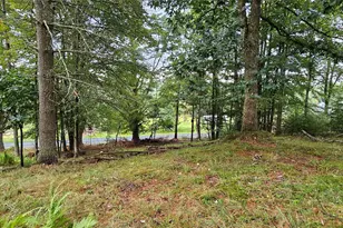 126 Tusten Mountain Lake Rd, Narrowsburg, NY 12764 - Photo 8