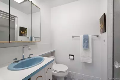 15 Shorthill Road, Ardsley, NY 10502 - Photo 20