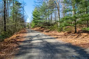 140 Stillerberg Strada, Rochester, NY 12446 - Photo 10