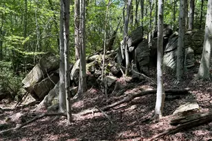 98 Eastwoods Rd, Pound Ridge, NY 10576 - Photo 8