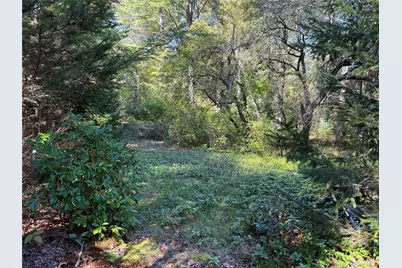 98 Eastwoods Road, Pound Ridge, NY 10576 - Photo 4