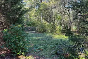 98 Eastwoods Rd, Pound Ridge, NY 10576 - Photo 4