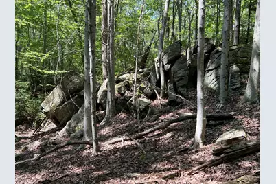 98 Eastwoods Road, Pound Ridge, NY 10576 - Photo 10