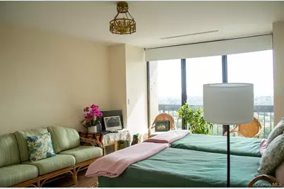 27110 Grand Central Parkway #19V, Floral Park, NY 11005 - Photo 14