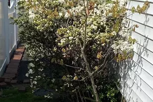 170 Wickfield Ln, North Babylon, NY 11703 - Photo 20