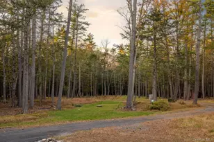 66 Plochmann Ln, Woodstock, NY 12498 - Photo 48