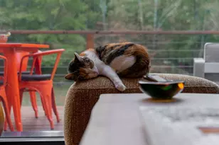 26 Kelder Rd, Olivebridge, NY 12461 - Photo 32