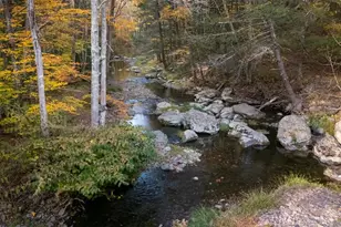 367 South Rd, Cairo, NY 12473 - Photo 38