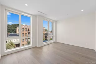 310 Fenimore St, Brooklyn, NY 11225 - Photo 40