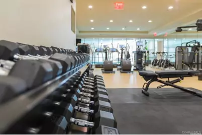 6000 Royal Court #6303, North Hills, NY 11040 - Photo 36
