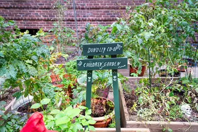 34-20 79 Street #6H, Jackson Heights, NY 11372 - Photo 22