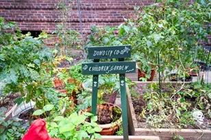 34-20 79th St, Jackson Heights, NY 11372 - Photo 22