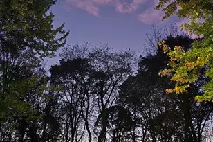 151 Oak Ridge Cir, Mahopac, NY 10541 - Photo 50