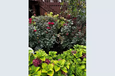 1 Eunice Lane, Thornwood, NY 10594 - Photo 34