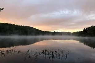 238 Trout Brook Rd, Roscoe, NY 12776 - Photo 30