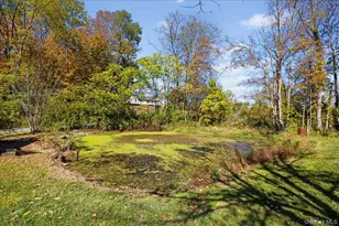 13 Amdurer Rd, Westtown, NY 10998 - Photo 38