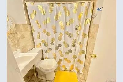 9 Adler Place, Brooklyn, NY 11208 - Photo 16