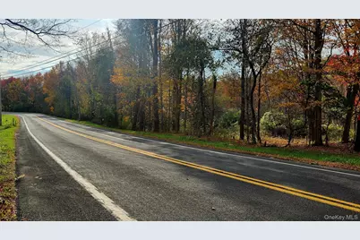 2934 County Route 7, Copake Falls, NY 12516 - Photo 6