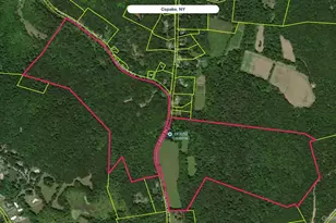 2934 Co Rte 7, Copake Falls, NY 12516 - Photo 1