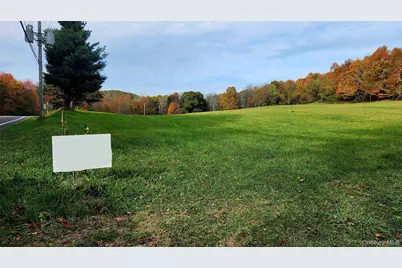 2934 County Route 7, Copake Falls, NY 12516 - Photo 8