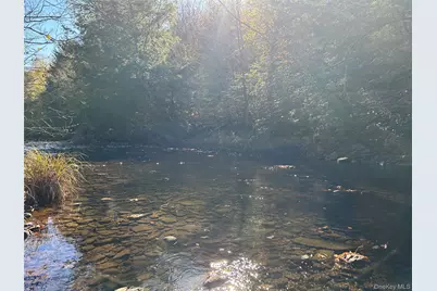 00 Old Route 17, Livingston Manor, NY 12758 - Photo 6