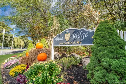 862 Birchwood Road, Medford, NY 11763 - Photo 2