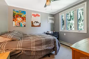 55 Maple Dr, New Hyde Park, NY 11040 - Photo 18