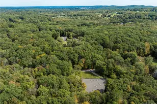 132 Finch Rd, North Salem, NY 10560 - Photo 40