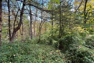 407 Swartekill Rd, Highland, NY 12528 - Photo 6