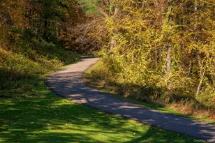 4174 State Route 66, Chatham, NY 12115 - Photo 40